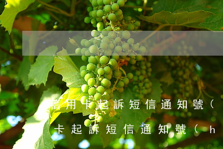 信用卡起訴短信通知號(hào)碼-信用卡起訴短信通知號(hào)碼怎么填