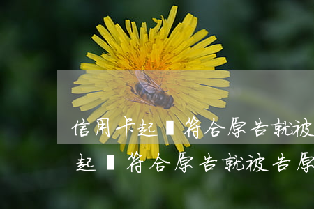信用卡起訴符合原告就被告原則嗎-信用卡起訴符合原告就被告原則嗎怎么辦