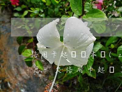 信用卡起訴終本執(zhí)行為零什么意思-欠信用卡起訴了只還本金行嗎