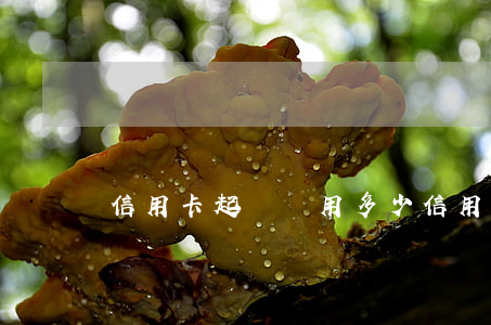 信用卡起訴費用多少(信用卡多少錢能起訴)