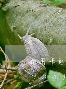 信用卡起訴費需要多少(欠信用卡錢已經(jīng)起訴一般多久開庭呢)