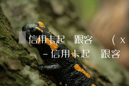 信用卡起訴跟客戶協(xié)商不成怎么辦-信用卡起訴跟客戶協(xié)商不成怎么辦呢