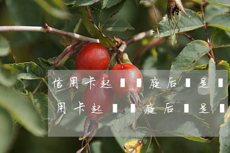 信用卡起訴開庭后還是沒有錢還怎么辦-信用卡起訴開庭后還是沒有錢還怎么辦名下沒有財產(chǎn)