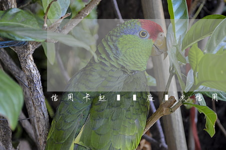 信用卡起訴開庭幾次(信用卡起訴開庭幾次)