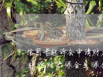 信用卡起诉会申请财产保全吗(信用卡逾期被起诉财产保全是保全什么)