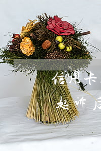 信用卡起诉后没钱还利息还会涨吗-信用卡起诉后没钱还利息还会涨吗知乎