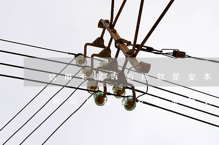 信用卡起诉后还款是安本金算吗?-信用卡起诉后还款是安本金算吗还是利息