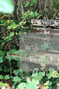 信用卡起诉是按本金还是全部利息-信用卡起诉是按本金还是全部利息和滞纳金