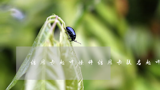 信用卡起诉条件(信用卡联名起诉需什么条件)