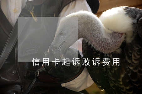 信用卡起诉败诉费用