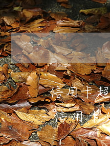 信用卡超3個月逾期代還(三年內(nèi)信用卡逾期3次)