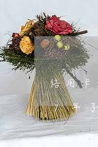 信用卡超5万逾期被起诉(信用卡500逾期7年了)
