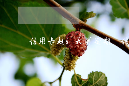 信用卡超5天算逾期嗎(信用卡超5天算逾期嗎)