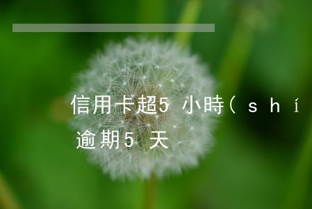 信用卡超5小時(shí)算逾期嗎 銀行卡逾期5天
