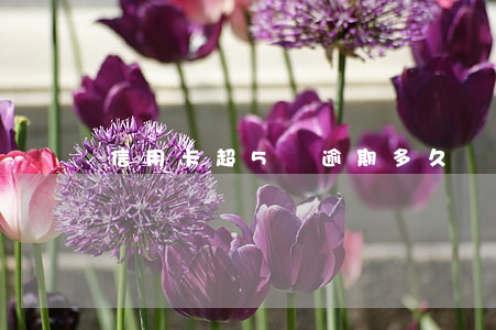 信用卡超5萬逾期多久會(huì)被起訴