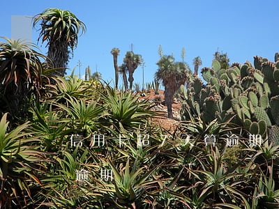 信用卡超7天算逾期嗎(信用卡7天后再還算逾期嗎?)