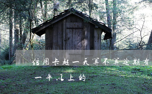 信用卡超一天算不算逾期(有沒有信用卡逾期一年以上的)