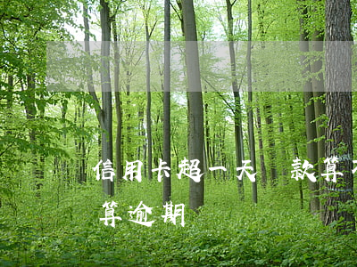 信用卡超一天還款算不算逾期(超過一天還款算逾期嗎)