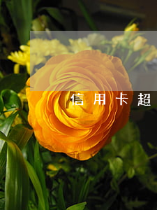 信用卡超一天還算不算逾期