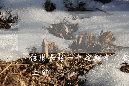 信用卡超一年逾期(有沒有信用卡逾期一年以上的)