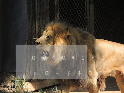 信用卡超五萬不還會(huì)怎樣(信用卡5萬以下不還會(huì)怎樣)