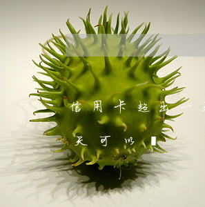 信用卡超出一天還有逾期嗎(我信用卡逾期一天可以嗎)