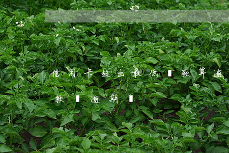 信用卡超出最低還款算逾期嗎(信用還最低還款會逾期嗎)