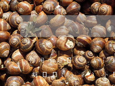 信用卡超時(shí)多久算逾期(信用卡逾期幾個(gè)小時(shí)算逾期嗎)