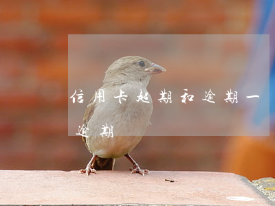 信用卡超期和逾期一樣嗎(信用卡超額算不算逾期)