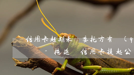 信用卡超期未還委托方有權(quán)起訴嗎-拖延還信用卡提起公訴怎么辦