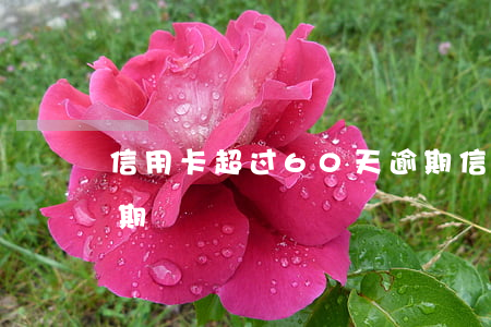 信用卡超过60天逾期(信用卡超过60天逾期)