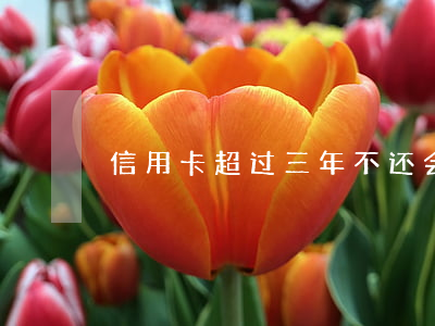 信用卡超过三年不还会怎样(几年不还信用卡)