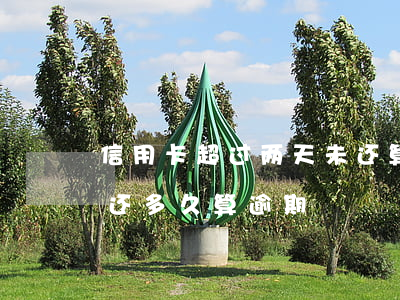 信用卡超过两天未还算逾期呈(信用卡2天没还多久算逾期)