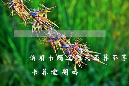 信用卡超过两天还算不算逾期(2天没还信用卡算逾期吗)