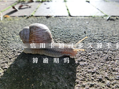 信用卡超过多久算不算逾期(信用卡3天之内算逾期吗)