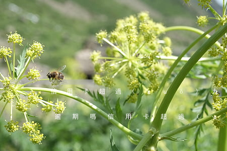 信用卡超過(guò)九點(diǎn)算逾期嗎(信用卡超過(guò)九點(diǎn)算逾期嗎怎么辦)