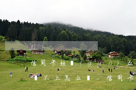信用卡超過(guò)五萬(wàn)以上還不上怎么辦-信用卡超過(guò)五萬(wàn)以上還不上怎么辦呢