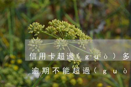 信用卡超過(guò)多少天為逾期(信用卡逾期不能超過(guò)多少天)
