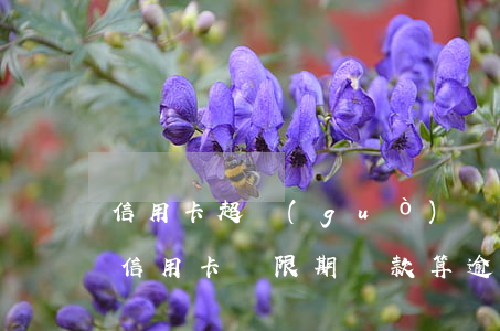 信用卡超過(guò)還款期幾天算逾期(在信用卡寬限期還款算逾期嗎)