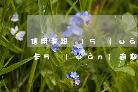 信用卡超過15萬(wàn)逾期兩年(信用卡5萬(wàn)逾期2年漲到10萬(wàn)嗎)