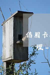 信用卡超過5萬逾期應(yīng)該怎么處理-信用卡超過5萬逾期應(yīng)該怎么處理呢