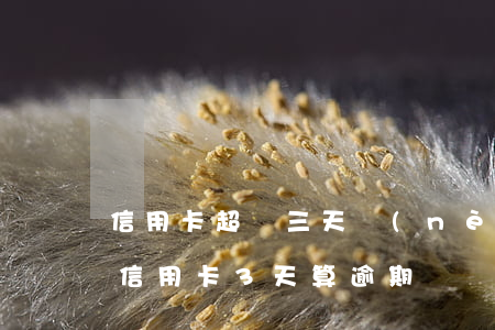 信用卡超過三天內(nèi)還款算逾期嗎(信用卡3天算逾期嗎)