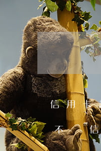 信用卡超過三年不還會(huì)怎樣(幾年不還信用卡)