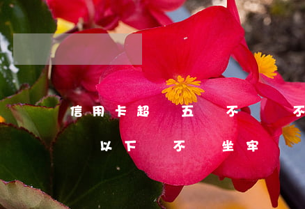 信用卡超過五萬不還會不會坐牢(信用卡欠5萬以下會不會坐牢)