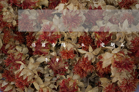 信用卡超過五萬逾期三個月(5千信用卡逾期兩年半)