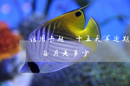 信用卡超過十五天算逾期(15萬信用卡逾期費每月是多少)