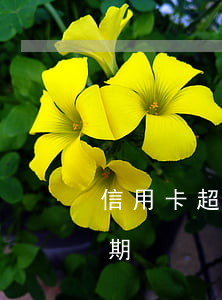 信用卡超過幾天才逾期（信用卡超過幾天才逾期）