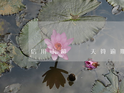 信用卡超過幾天算逾期啊