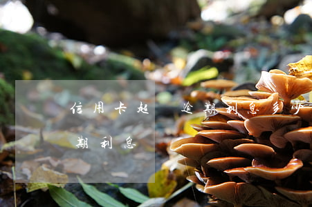 信用卡超過逾期利息多少(信用卡 逾期罰息 逾期利息)