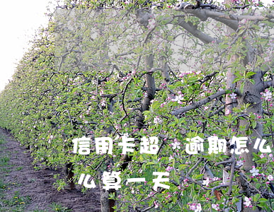 信用卡超過逾期怎么算-信用卡超過逾期怎么算一天